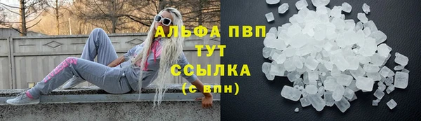 гашик Вязьма