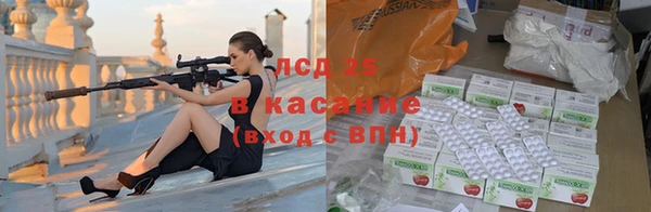 гашик Вязьма