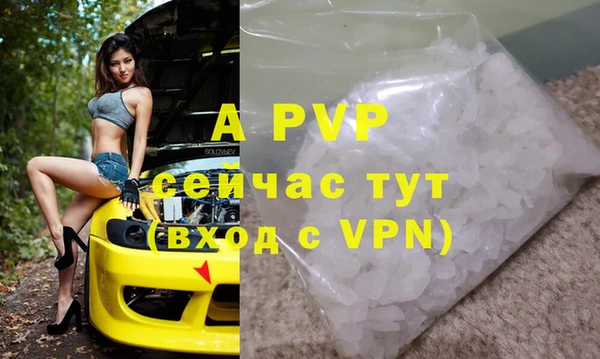гашик Вязьма