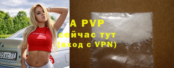 марки nbome Вяземский