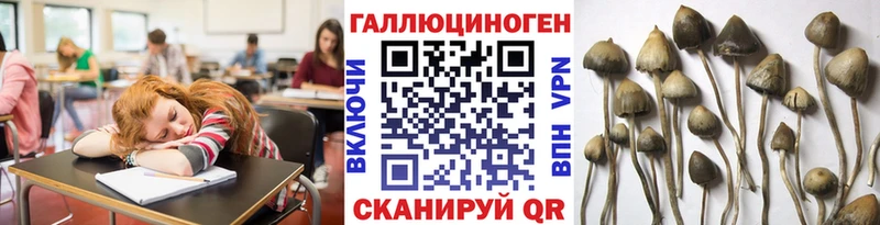 кракен зеркало Меленки Галлюциногенные грибы прущие грибы